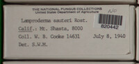 Image Associated With the Occurence
